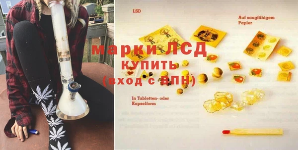 стаф Краснослободск