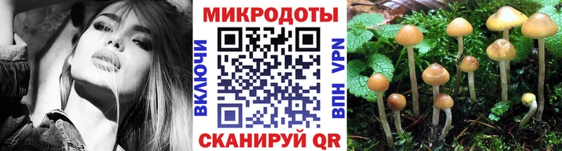 где купить наркоту  Нея  Псилоцибиновые грибы мухоморы 